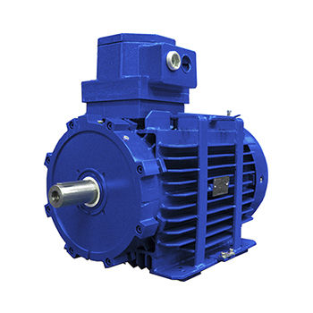 异步电机 - D5Y - D6Y - D5V series - Marelli Motori S.p.A. - 交流 / 690 V / 防火