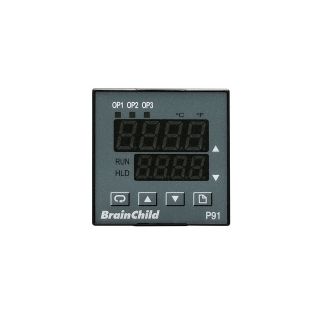 模拟温控器 - P91 - BRAINCHILD ELECTRONIC CO., LTD - PID / Ramp/Soak可编程 / 可配置