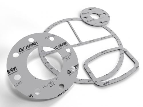 PTFE密封纸 - PLANIFLON™ B15 - Carrara Global Sealing Solution - 法兰 / 气体 / 工业用途