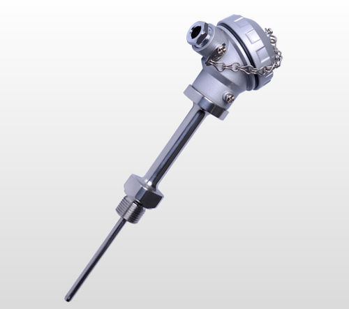 Pt100温度传感器 - PT10  - Sitron - RTD / 法兰 / IP65