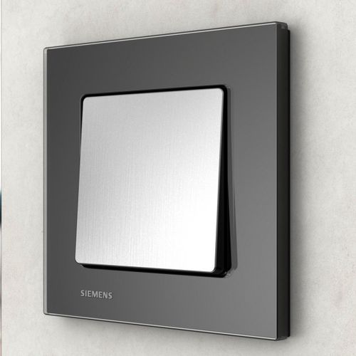 摇摆开关 - DELTA miro - Siemens Low-voltage – Power distribution - 单极 / IP44 / 控制