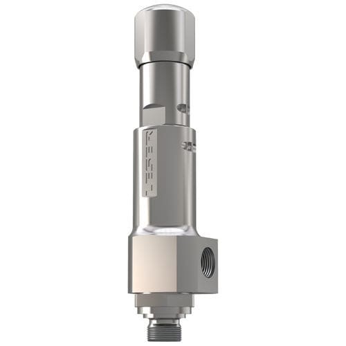 燃气安全阀 - 437 - LESER GmbH & Co. KG - NPT / DIN / 化工