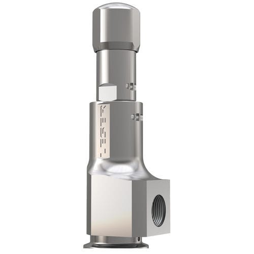 卫生保健应用安全阀 - 481 - LESER GmbH & Co. KG - 用于饮料产业