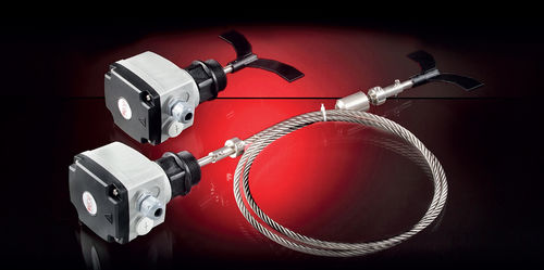 旋桨液位开关 - RL-A series - AECO - 用于散料 / ATEX / IP66
