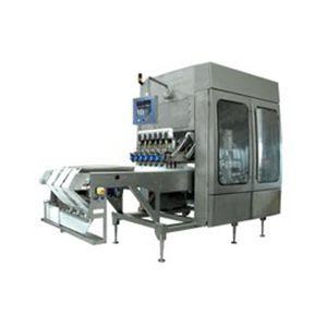 冰淇淋灌装机/包装机 - GMW - Gram Equipment