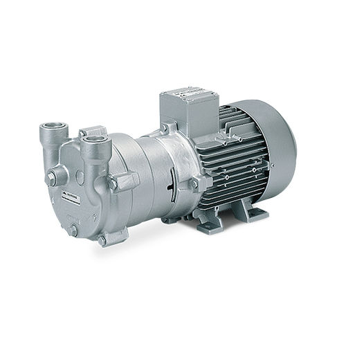 液环真空泵 - l-bv2 - elmo rietschle - 润滑 / 单级 / 用于塑料加工