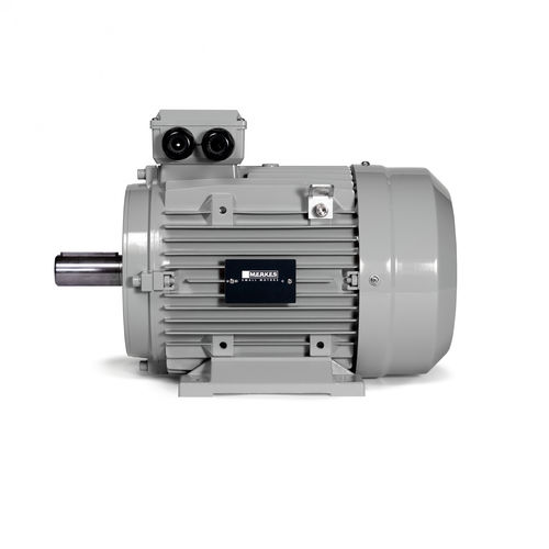 同步电机 - MPM 30 - Merkes GmbH - Small Motors - 三相 / 永磁 / IP55