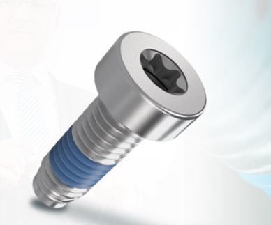 安全螺钉 - ThreadLoc - Arnold Umformtechnik GmbH & Co. KG - 装配 / 圆柱头