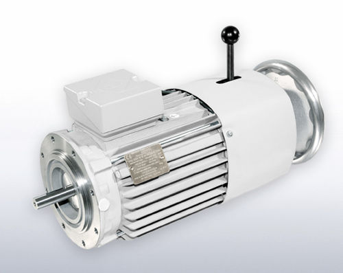 异步制动电动机 - VEM motors - 交流 / 铸铁 / 耐用型