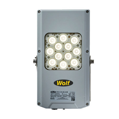 危险区域投光灯 - LFX1 series - Wolf Safety Lamp Company - LED / IECEx / IP66