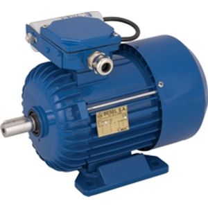 感应电机 - SEh90-2L - Cantoni Motor - 单相 / 380V / 铝框架