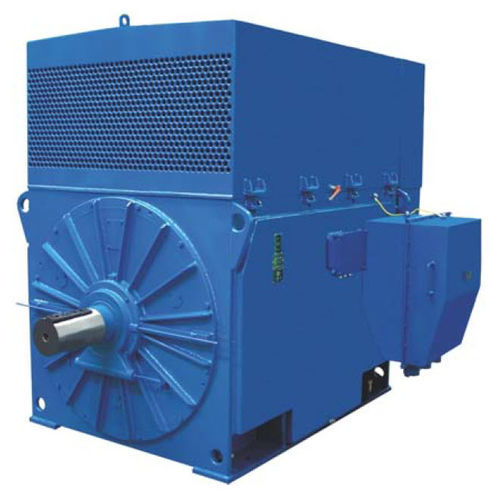 高压电动机 - Sf315XK2 - Cantoni Motor - 同步 / 三相 / 6000V