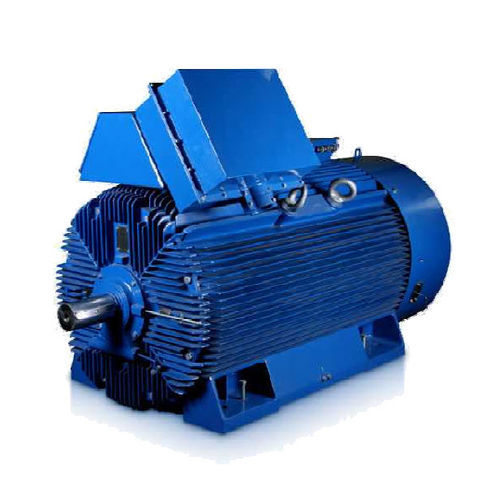 高压电动机 - Sh400H4C - Cantoni Motor - 同步 / 三相 / 6000V