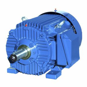 感应电机 - SIE182T4 - Cantoni Motor - 三相 / 460 V / 铸铁