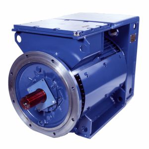 同步电机 - 3SGf250M6-E - Cantoni Motor - 三相 / 500 V / 笼式转子