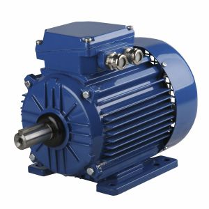 同步电机 - ExSh90S-2-3G T4 - Cantoni Motor - 三相 / 400V / 铝框架