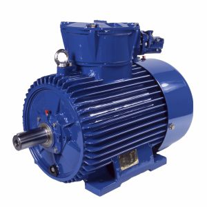同步电机 - (E)cSgb280S2-EP - Cantoni Motor - 三相 / 400V / 鼠笼式