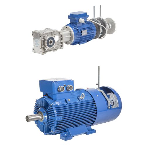 定制制动电动机 - Cantoni Motor - 感应 / 3相