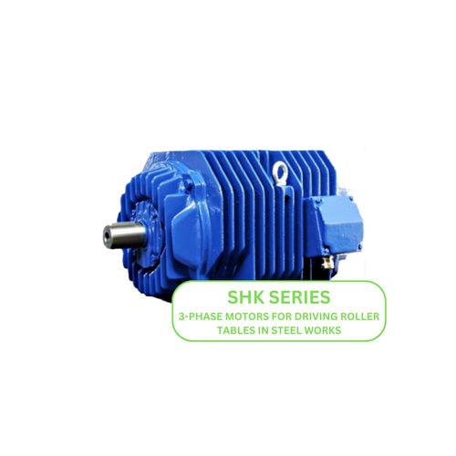 异步电机 - SHK series - Cantoni Motor - 3相 / 550 V / 鼠笼式