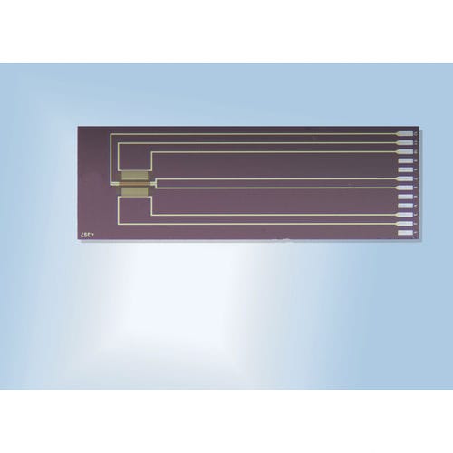 量热计流量传感器 - SFS01 - Innovative Sensor Technology IST AG - 硅压阻式 / 体积 / 气体