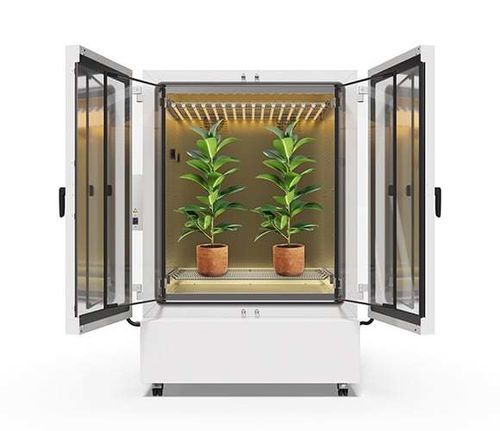 植物生长箱 - KBF PRO - BINDER/德国宾德 - 带滑轮