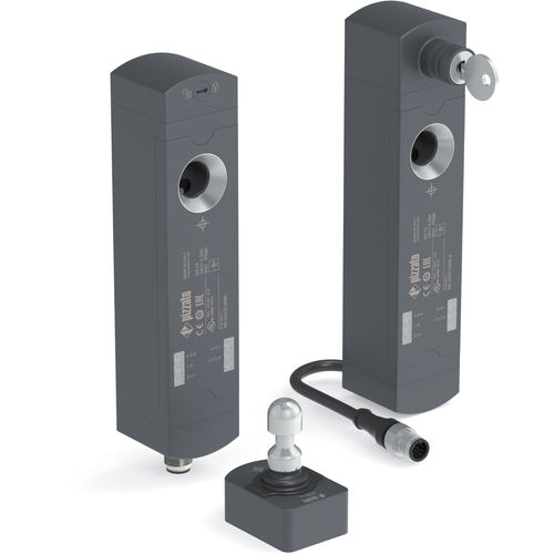 安全开关 - NS Series - Pizzato Elettrica - 工业 / 用于门 / 手动