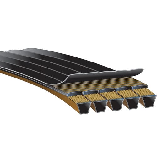 多股传动带 - PREDATOR® POWERBAND® - Gates - 梯形 / V形 / 滑车