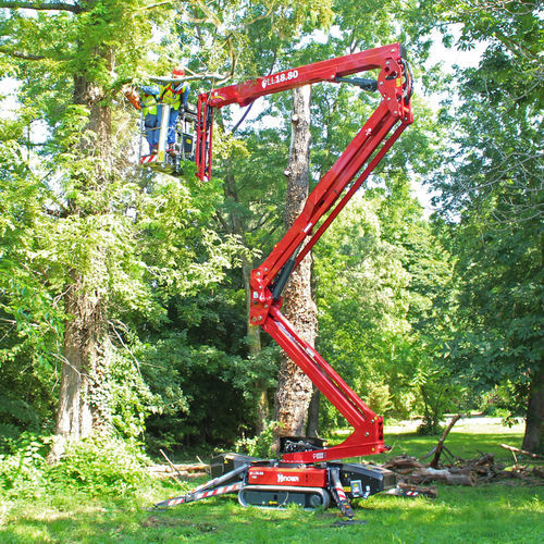 履带式蜘蛛车 - LIGHTLIFT 18.80 - HINOWA SPA/意大利HINOWA - 自走式 / 汽油机 / 电动