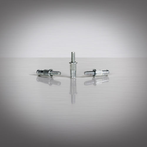 拉铆螺柱 - POLYGRIP&reg; - SFS Group Germany GmbH/德国GESIPA - 螺纹 / 钢