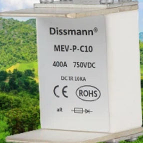 方形熔断器 - MEV-P-C10 - Shenzhen Deer Electronic Co.,Ltd. - 快速 / 陶瓷 / 用于汽车