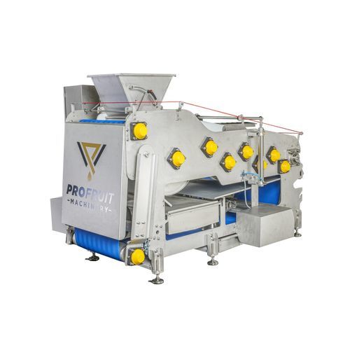 水果压带机 - POWERPRESS 800 - ProFruit Machinery - 食品工业