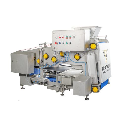 水果榨汁机 -  POWERPRESS 1200 - ProFruit Machinery - 苹果 / 桑葚 / 蓝莓