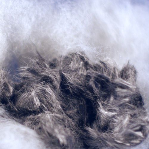 不锈钢纤维 - Imattec - 粗纱