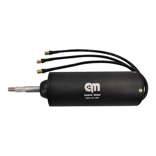 无刷电机 - D65L161-WP - Dongguan Tengfei Power Technology Co., Ltd. - 直流 / 160 V / 16 V
