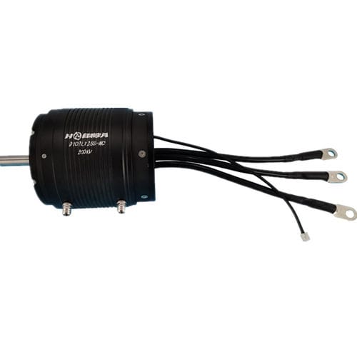 无刷电机 - D107L125-WC - Dongguan Tengfei Power Technology Co., Ltd. - 直流 / 20 V / 80V