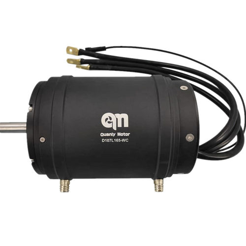 无刷电机 - D107L165-WC - Dongguan Tengfei Power Technology Co., Ltd. - 直流 / 110 V / 20 V