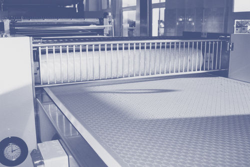 带挤出机饼干生产线 - Iteca Automatic Lines S.p.A - 表面撒配料 / 隧道炉