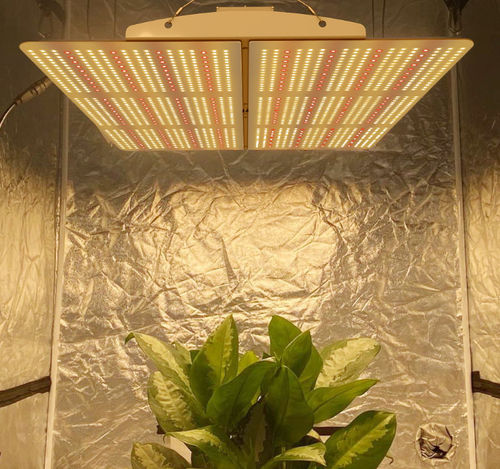 吸顶式照明 - PG02 - Hishine Group Limited - LED / 温室