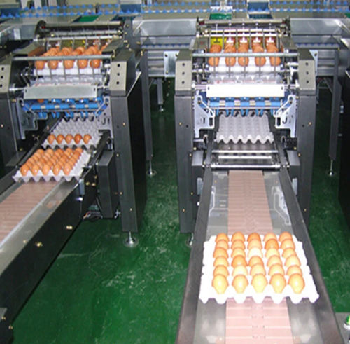 鸡蛋食品清洗机 - Shanghai Genyond Technology Co Ltd - 自动 / 带式 / 喷雾