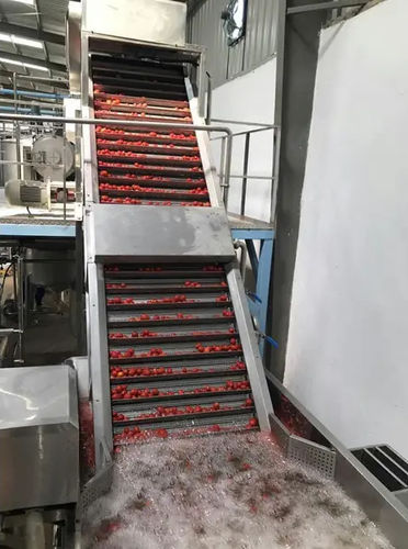 番茄加工流水线 - Shanghai Genyond Technology Co Ltd - 清洗 / 去沙石 / 分拣