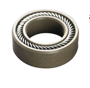 边缘式密封 - SHIJIAZHUANG RUISUO SEAL SUPPLIES CO.,LTD - PTFE / 环形 / 圆形