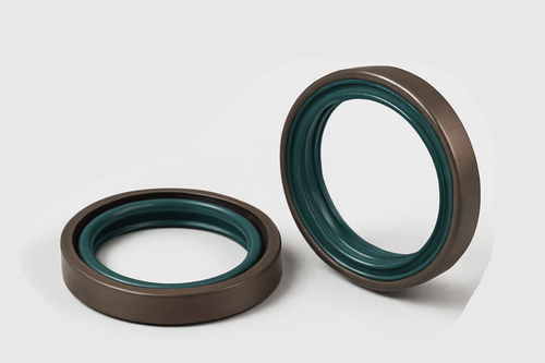 唇密封 - SHIJIAZHUANG RUISUO SEAL SUPPLIES CO.,LTD - 橡胶 / FKM氟橡胶 / 环形