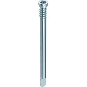 固定螺钉 - HECO®-WS - HECO - 抽芯 / 内六角 / 钢
