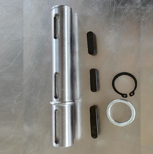 输出轴 - CYRV30-CYRV 110 - Chenyue (Jiangsu) Technology Co., Ltd. - 金属 / 变速箱