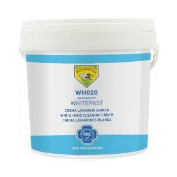 洗涤剂 - WH020 - WHITEPAST - ECO SERVICE SRL - 洗手
