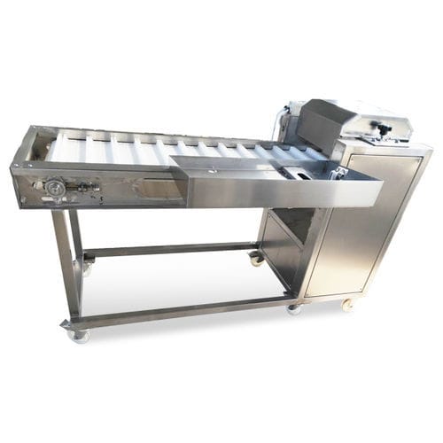 鱼类切片机 - Bokang Machinery - 自动 / 不锈钢 / 落地