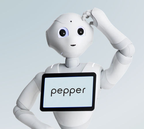 自主接待机器人 - Pepper - United Robotics Group GmbH - 移动式 / 带触摸屏