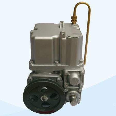 组合式泵 - CLB50 - Zhejiang Datian Machine Co., ltd - 齿轮 / 燃料 / 汽油