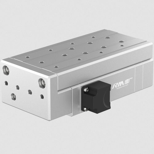 电动执行器 - RM-WRPLA-11-50-2-F - RobustMotion—Foshan Augmented Intelligence Technol - 线性 / IP40 / 定位