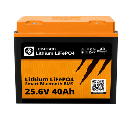 LiFePO4电池 - LISMART2440LX  - Liontron Ltd. - 模块 / M6 / CE